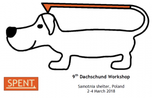 Logo 9th Dachshund